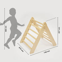Load image into Gallery viewer, Pikler Triangle + 2 double-sided boards + wooden BusyKids Swing set (large) - Nature
